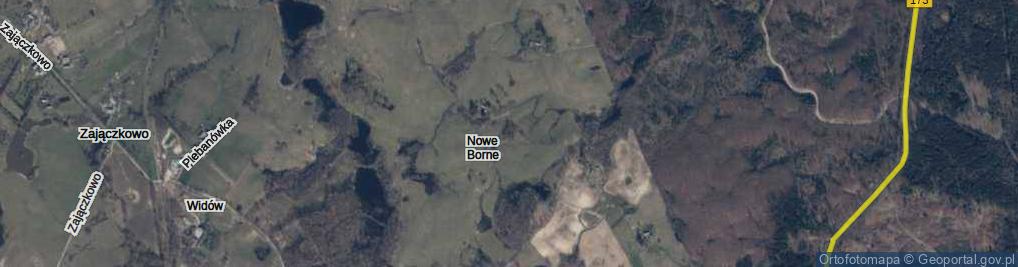 Zdjęcie satelitarne Nowe Borne ul.